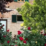 Podere Casanova&wine Experience - Apartamento