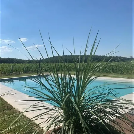 Appartement Podere Casanova & Wine Experience -