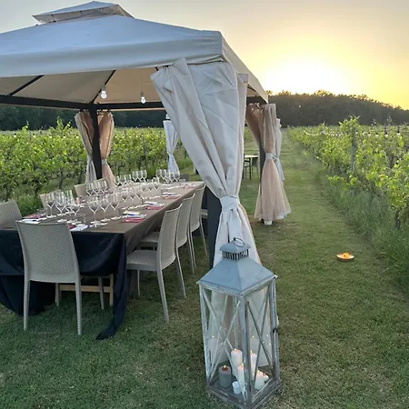 Podere Casanova & Wine Experience - Διαμέρισμα Montepulciano Stazione