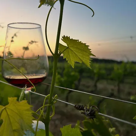 Διαμέρισμα Podere Casanova & Wine Experience -