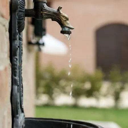 Podere Casanova & Wine Experience -