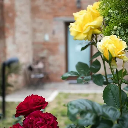 Apartment Podere Casanova & Wine Experience - *
