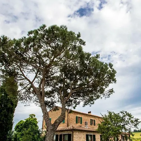 Podere Casanova & Wine Experience - *