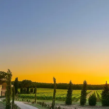 Podere Casanova & Wine Experience - *