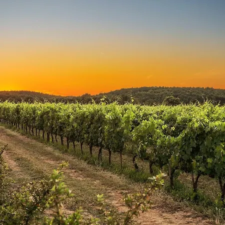Appartement Podere Casanova & Wine Experience -