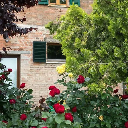 Podere Casanova & Wine Experience - Apartment
