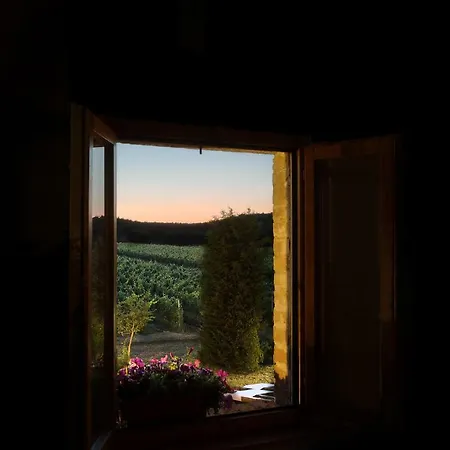 Διαμέρισμα Podere Casanova & Wine Experience -