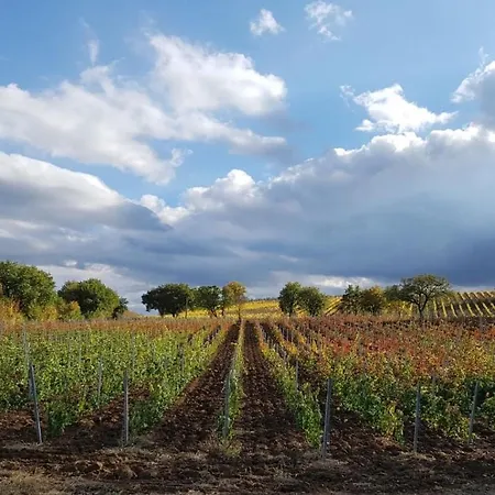 Podere Casanova & Wine Experience - Apartamento *