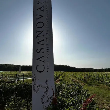 Apartamento Podere Casanova & Wine Experience -