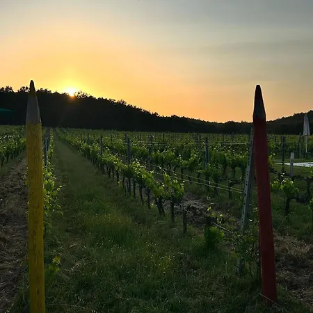 Apartamento Podere Casanova & Wine Experience - *