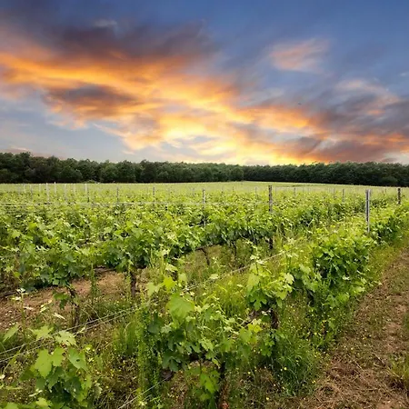 Apartamento Podere Casanova & Wine Experience - *